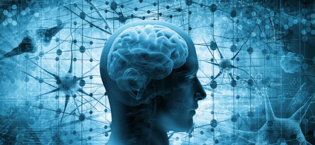 Nöropsikoloji nedir? Nöropsikoloji nedir?