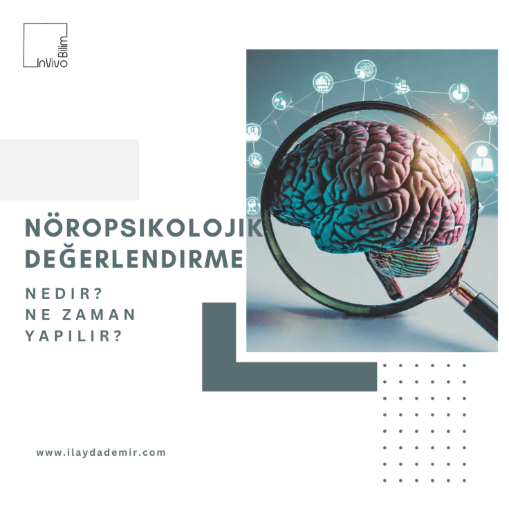 Nöropsikolojik Test ve&nbsp;Değerlendirme